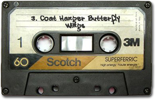 Coat Hanger Butterfly Wings, by J.D. Lenzen